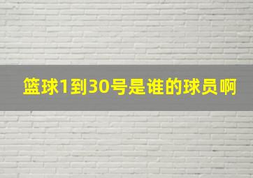 篮球1到30号是谁的球员啊