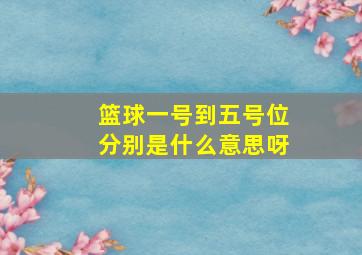 篮球一号到五号位分别是什么意思呀