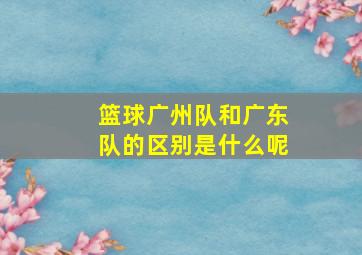 篮球广州队和广东队的区别是什么呢