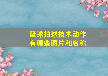 篮球拍球技术动作有哪些图片和名称