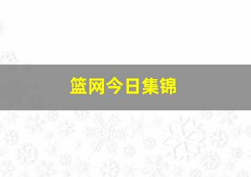 篮网今日集锦