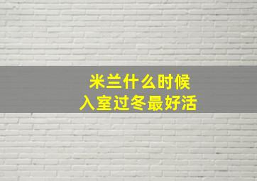 米兰什么时候入室过冬最好活