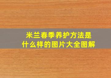 米兰春季养护方法是什么样的图片大全图解