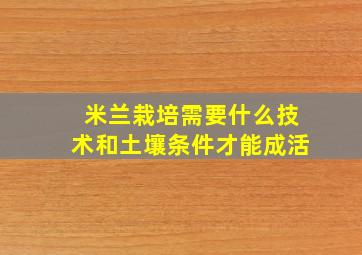 米兰栽培需要什么技术和土壤条件才能成活