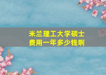 米兰理工大学硕士费用一年多少钱啊