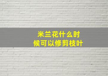 米兰花什么时候可以修剪枝叶