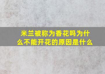 米兰被称为香花吗为什么不能开花的原因是什么