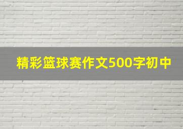 精彩篮球赛作文500字初中