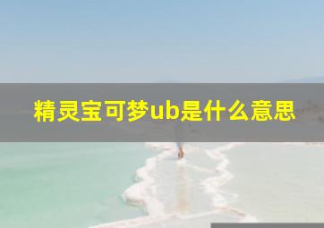 精灵宝可梦ub是什么意思