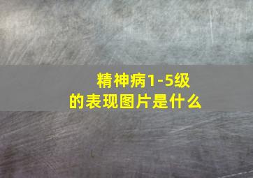 精神病1-5级的表现图片是什么