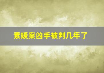 素媛案凶手被判几年了