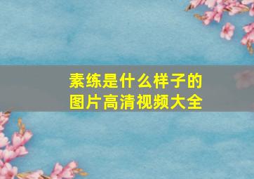 素练是什么样子的图片高清视频大全