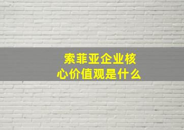 索菲亚企业核心价值观是什么