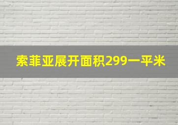 索菲亚展开面积299一平米