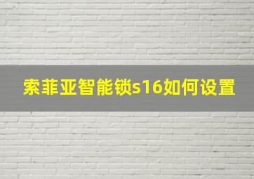 索菲亚智能锁s16如何设置