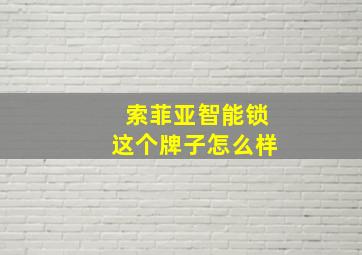 索菲亚智能锁这个牌子怎么样