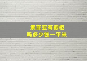 索菲亚有橱柜吗多少钱一平米