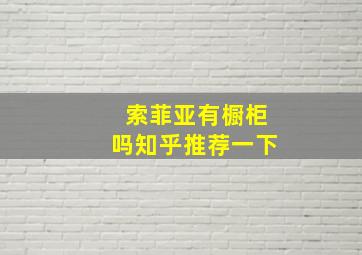 索菲亚有橱柜吗知乎推荐一下