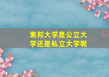 索邦大学是公立大学还是私立大学呢