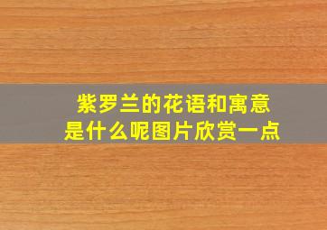 紫罗兰的花语和寓意是什么呢图片欣赏一点