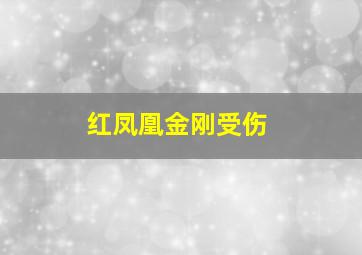 红凤凰金刚受伤