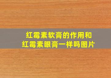 红霉素软膏的作用和红霉素眼膏一样吗图片