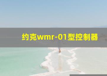 约克wmr-01型控制器