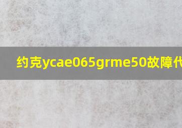 约克ycae065grme50故障代码9F