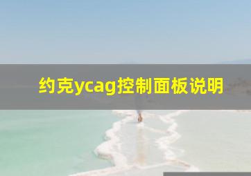 约克ycag控制面板说明