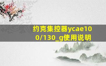 约克集控器ycae100/130_g使用说明