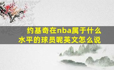 约基奇在nba属于什么水平的球员呢英文怎么说