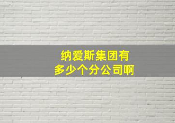 纳爱斯集团有多少个分公司啊