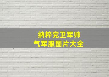 纳粹党卫军帅气军服图片大全