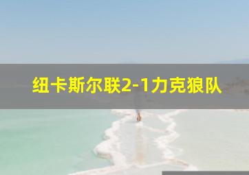 纽卡斯尔联2-1力克狼队