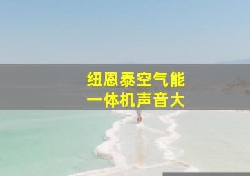 纽恩泰空气能一体机声音大