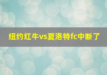 纽约红牛vs夏洛特fc中断了