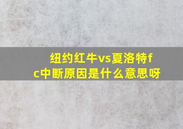 纽约红牛vs夏洛特fc中断原因是什么意思呀