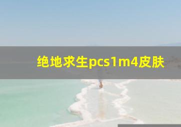 绝地求生pcs1m4皮肤