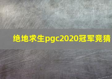 绝地求生pgc2020冠军竞猜