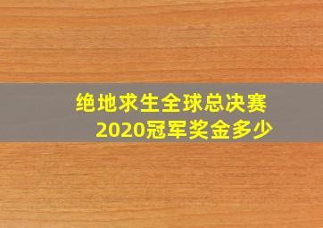 绝地求生全球总决赛2020冠军奖金多少