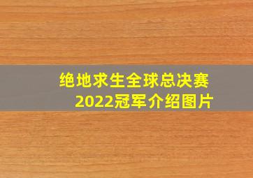 绝地求生全球总决赛2022冠军介绍图片