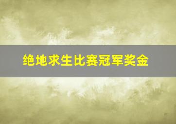 绝地求生比赛冠军奖金