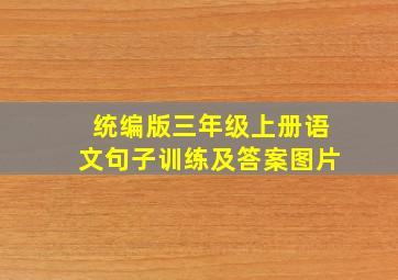 统编版三年级上册语文句子训练及答案图片