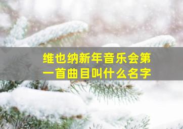 维也纳新年音乐会第一首曲目叫什么名字