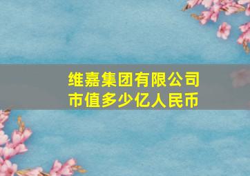 维嘉集团有限公司市值多少亿人民币