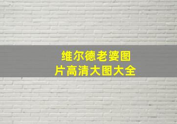 维尔德老婆图片高清大图大全