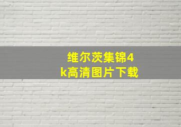 维尔茨集锦4k高清图片下载