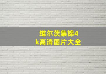 维尔茨集锦4k高清图片大全