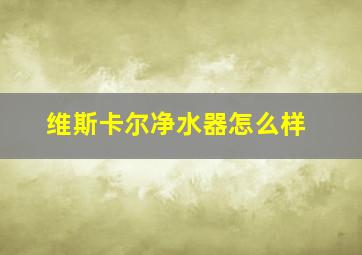 维斯卡尔净水器怎么样