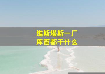 维斯塔斯一厂库管都干什么